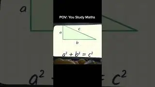 Studying maths is like a rollercoaster⬆️⬇️#maths#memes #viralvideo #funnymath#usethisaudio#mathmemes