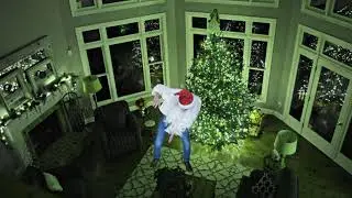ZILF - The Christmas Blues