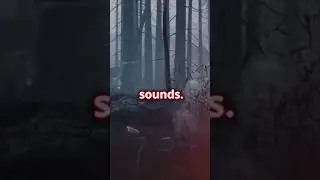 Haunted Darkness: Spirits Caught on Camera