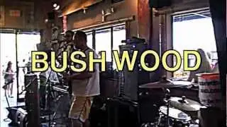 BUSHWOOD - 