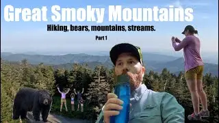 Family visit to the Great Smoky Mountains | Kids Activities | Hiking | Mountains | Bears