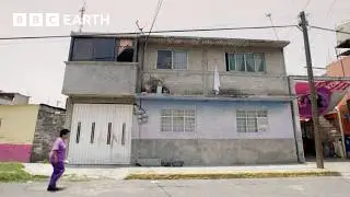 Mexico City's Self-Built Homes | World's Busiest Cities | BBC Earth Explore