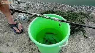 00579. &Psi;Ά&Rho;&Epsilon;&Mu;&Alpha; &Sigma;&Tau;&Eta; &Lambda;Ί&Mu;&Nu;&Eta; &Beta;Ό&Lambda;&Beta;&Eta; / FISHING IN LAKE VOLVI