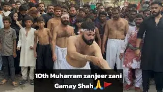 10th Muharram zanjeer zani Gamay Shah 2025🙏🚩