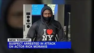 Suspect arrested in random attack on actor Rick Moranis