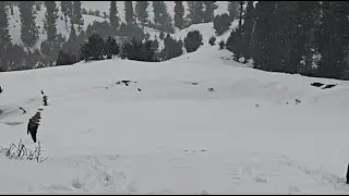 Beauty of Nature is live