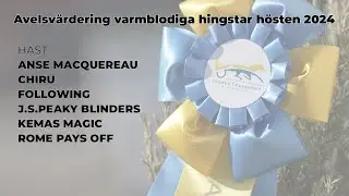 Avelsvärderingen Hösten 2024
