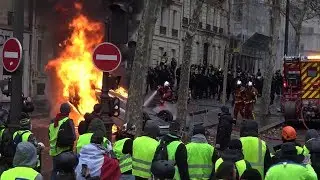 Nemesis :  Revolution