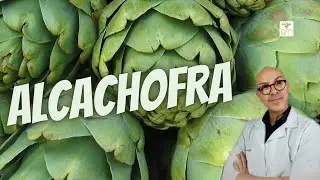 ALCACHOFRA -|RAQUITISMO |ESCORBUTO |EMAGRECE |CORA&Ccedil;&Atilde;O |RESSACA |INCHA&Ccedil;O |F&Iacute;GADO |DIABETES |LAXATIVA.