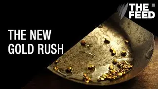 The New Gold Rush: Inside the world of competitive gold planning.