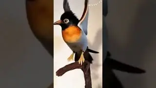 #Skebob #Skebobprime #shorts #shortvideo