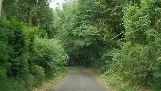 【森林浴ドライブ】千葉県佐倉市小篠塚【車載動画】