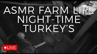 ASMR LIVE Backyard Farm Life