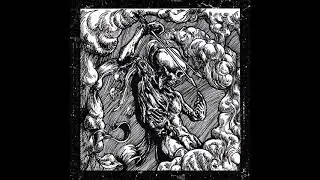 Aspergillum (Mexico) - Veneno de Tarantula