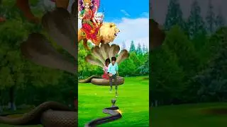#shortvideo #funnybhola#youtubeshorts#youtube#shortvideo#viral