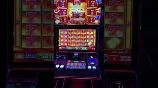 Panou septari la 40 Shining Crown🎰