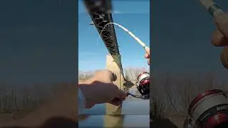 have you seen this before? nasty!