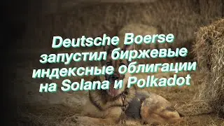Deutsche Boerse запустил биржевые индексные облигации на Solana и Polkadot