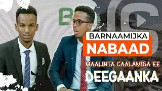 Barnaamijka NABAAD | Maalinta Caalamiga ee Deegaanka