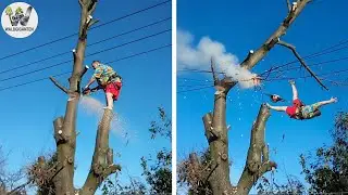 Idioten mit Kettensägen: Fehlgeschlagene Baumfällarbeiten | Extrem gefährliche Holztransport-Fails 3