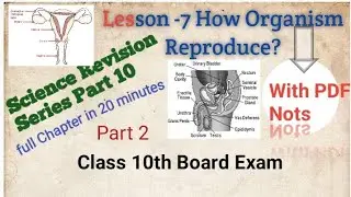 How to Organism Reproduce | Class 10 Biology | Full Chapter Revision (20 Minutes) | Part 10