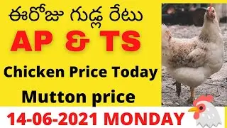Monday Eggs Chicken Rates - Daily Rates NECC | Mutton AP & TS