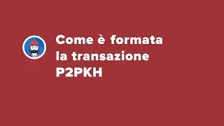 Bitcoin in Action &ndash;&nbsp;Come &egrave; formata la transazione P2PKH