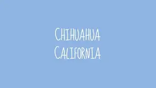 Chihuahua - California (Audio)