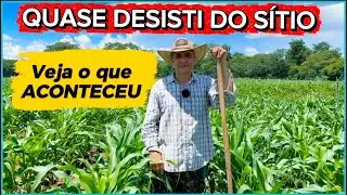 Não compre SÍTIO OU CHÁCARA antes de assistir esse VÍDEO.