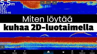 Miten löytää kuhaa 2D-luotaimen avulla