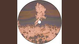 Alien Groove Extractor