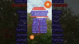 Pasangan weton tibo Lebu katiup angin #weton#neptu#jodoh#primbon#pasaranjawa#rezeki