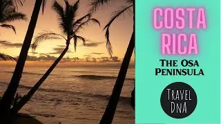 The Osa Peninsula of Costa Rica | Far from crowds & close to nature