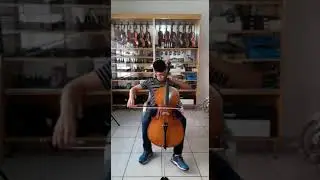 Violoncelo Eagle CE 300-Oliveira Musical
