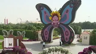 A look inside the world's largest indoor butterfly park | Mashable