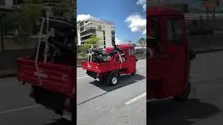 Torito de carga RE M&Aacute;XIMA