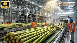 Inside a Mega Sugar Factory: You Won't Believe How Fast Cane Becomes Sugar