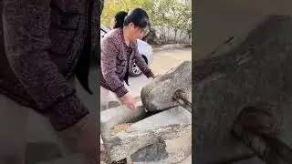The process of grinding corn kernels with a stone mill