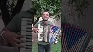 Sanfoneiro arretado Emerson Rock #sanfoneiro #emerson #viralvideo #piseiro