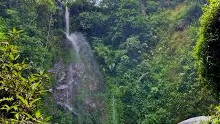 Peaceful River and Birds Ambience for Sleep (8 Hours)