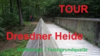 TOUR: Unterwegs in der Dresdner Heide | Wolfsh&uuml;gel | Teichgrundquelle | Outdoor Wandern Deutschland
