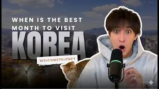When Is the Best Month to Visit South Korea? (Month-by-Month Guide)