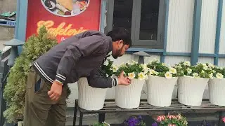 Amit Pal is live Good morning dosto ❤️🌹 laiv on please support me 🙏🙏