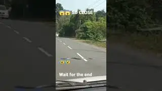 Close Call Big Snake Crossing  Road #trending #viralvideo #reels #viral #snake