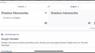 Shadow Meowscles French Meme | Fortnite French Meme