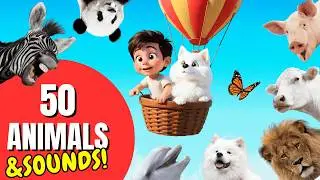 50 Animal Names and Sounds for Toddlers | Kids Learning Video with Dan & Ben 🐶🦁🐮