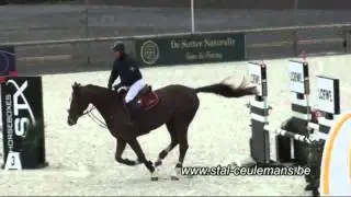Kerly De Regor, Patrik Spits, Azelhof 4 years old, 9-05-2014