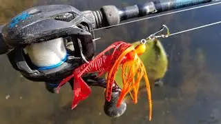 Using a Z-Man Fire Craw Chatterbait (Megabass Rock Hog)