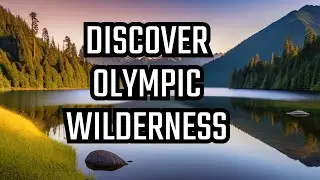 America&rsquo;s Olympic National Park | Washington's Olympic Adventures