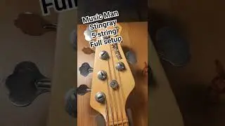 Music Man Stingray 5 string setup.#bass #bassguitar #luthier #luthiery #bassist